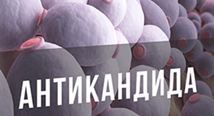 antikandida